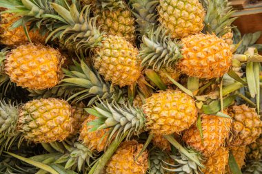 Sri Lanka 'nın başkentindeki merkez pazarda çeşitli sebze, meyve, tahıl ve kurutulmuş balık çeşitleri. Sulu çam yaprağı.