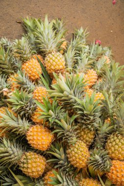 Sri Lanka 'nın başkentindeki merkez pazarda çeşitli sebze, meyve, tahıl ve kurutulmuş balık çeşitleri. Sulu çam yaprağı.