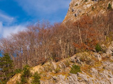 Parlak sonbahar manzarası, Avusturya Alpleri manzarası. Güneşli bir günde İtalya 'ya giden yol. Açık mavi gökyüzü, yamaçlar sonbahar ormanlarıyla kaplı.