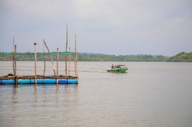 Kalutara, Sri Lanka 07. 02 numara. 2023. Balık spa pedikür ya da ayak için balık terapisi. Garra Rufa tedavisi olarak bilinir. Bazı altın balıklar insanın ayağını tatlı suya akıtıyor.