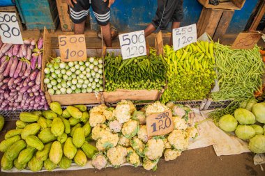 Sri Lanka 'nın başkentindeki merkez pazarda çeşitli sebze, meyve, tahıl ve kurutulmuş balık çeşitleri