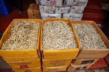 Sri Lanka 'daki yerel pazarda düzgünce düzenlenmiş çeşitli tropikal sebzeler. Kurutulmuş tuzlu balık