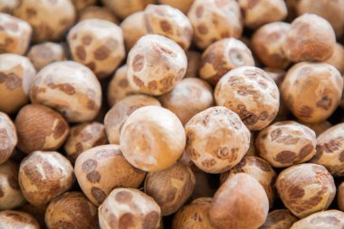 Betel fındık geçmişi. Noktalı küçük yuvarlak fındıklar. Sri Lanka 'dan betel fındık. Kurutulmuş Betel Nut, Areca Nut, Areca Catechu Arkaplanı