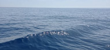 Okyanus dalgaları berrak mavi bir gökyüzünün altında pürüzsüz bir şekilde yuvarlanarak sakin bir manzara yaratıyor..