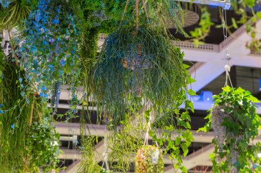 Bereketli yeşil asma bitkilerinin yer aldığı, çeşitli doku ve renklerin sergilendiği, uzayın atmosferini geliştiren canlı bir bahçe..