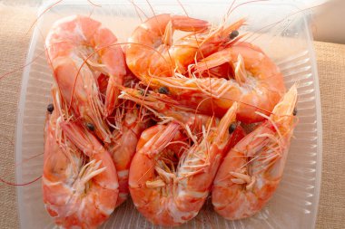 Açık bir kabın içinde canlı karidesler sergilenerek taze görünüşlerini ve yemek pişirmek için çekici dokularını vurguluyor..