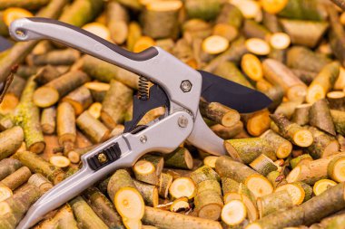 Kesik dal ve kütüklerden oluşan bir yatağa budama makası konmuş, canlı bir açık havada bahçe aletleri ve doğal malzemeler sergileniyor..