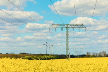 Güç hatları parlak sarı bir alan boyunca uzanıyor. Uzakta rüzgar türbinleri ve yukarıda kabarık bulutlar yenilenebilir enerji manzarası sergiliyor..