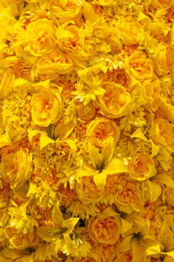 Çerçeveyi dolduran sari çiçeklerin çarpıcı bir görüntüsü, çeşitli türleri ve dokuları canlı bir kompozisyonda vurgular..