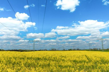 Pofuduk bulutlar ve elektrik hatlarıyla dolu açık mavi gökyüzünün altında geniş bir alan uzanır..
