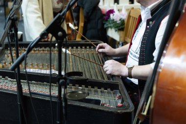 Bir enstrümanda biralı kupa, zil. Tanımlanamayan müzisyen festivalde bira içiyor. Gövdenin ortasında.