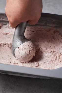 Çikolata parçacıkları ile ev yapımı dondurma. Gurmeler için Ferahlatıcı Tatlı. Stracciatella.