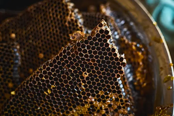 Close Gouden Honingraat Honing Selectieve Focu — Stockfoto