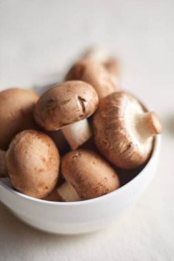 Şampiyon mantarları bej arka grubunda