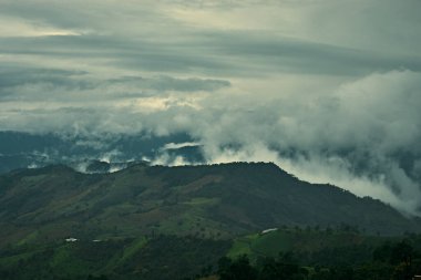 Chiang Rai 'deki Doi Chang tepesinin güzel dağ manzarası, Taylan