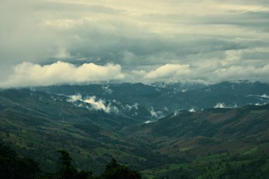 Chiang Rai 'deki Doi Chang tepesinin güzel dağ manzarası, Taylan