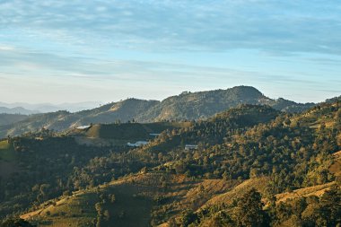 Chiang Rai 'deki Doi Chang tepesinin güzel dağ manzarası, Taylan