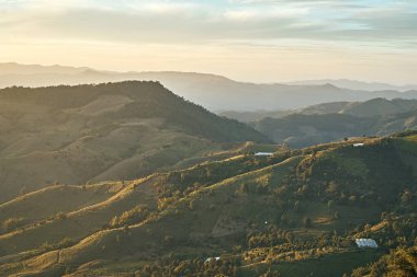 Chiang Rai 'deki Doi Chang tepesinin güzel dağ manzarası, Taylan