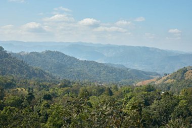 Doi Chang Dağları 'nın yeşil tepeleri Chiang Rai Kuzey Taylan