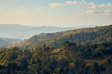 Doi Chang Dağları 'nın yeşil tepeleri Chiang Rai Kuzey Taylan