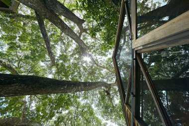 Tropikal ön kısımlarda ahşap ağaç kulübe.