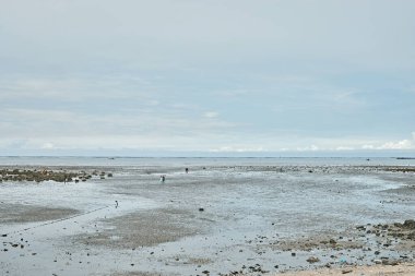 Sriracha 'nın deniz manzarası, Chonburi, Tayland.
