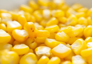 Kapatın tatlı haşlanmış mısır, yiyecek konsepti