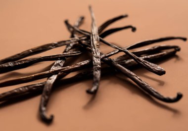 Kahverengi arka planda vanilya fasulyesini kapat, bulanıklaştır