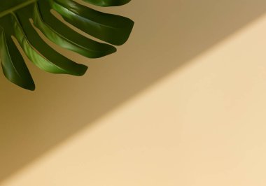 Bej rengi duvar dokusu, kopyalama alanı