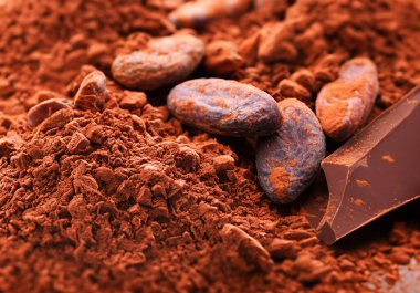 Kakao fasulyesi ve çikolata tozunu kapatın.