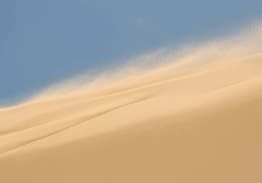 Kuvvetli rüzgar, kumulun tepesinden kumları düşüren devasa kumulları savurur.