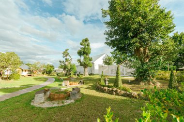 Arka planda güzel ağaçlar ve bulutlu mavi gökyüzü olan güzel bir park.