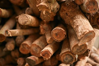 odun dokusunun istiflenmiş odunları