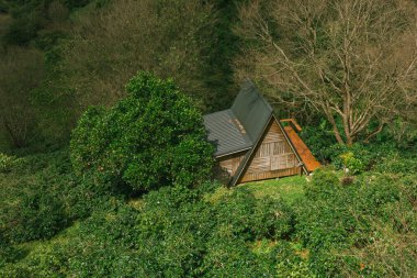 Doi Pang Khon 'un Chiang Rai, Tayland manzarası