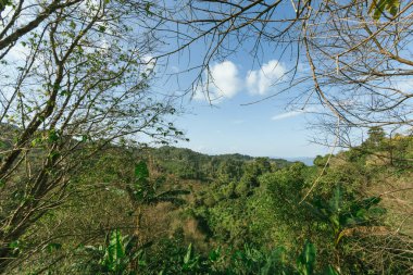 Doi Pang Khon 'un Chiang Rai, Tayland manzarası