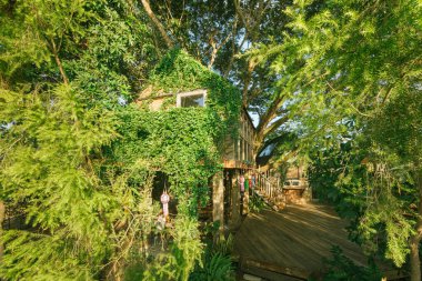 Tropik ormandaki ahşap ağaç kulübesi.