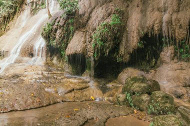 Saiyoyoknow şelalesi yeşil ormanda, thailand