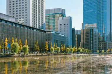 Tokyo 'da yüksek binalar ve mavi gökyüzü, Japonya