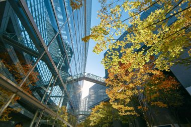 Tokyo, Japonya - 28 Kasım 2024: Tokyo Uluslararası Forumu modern mimarinin harika bir örneği