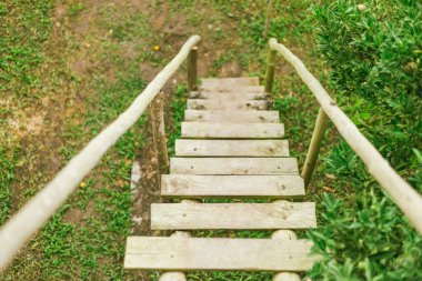 Portakal bahçesi, Chiang Rai Thailan.