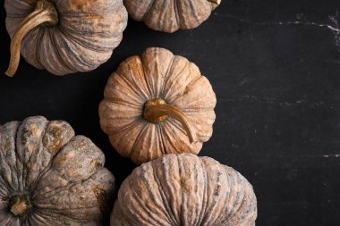 Siyah arka planda Tayland balkabağını kapat.