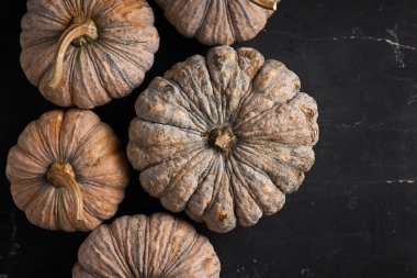 Siyah arka planda Tayland balkabağını kapat.