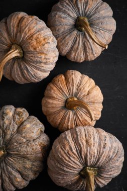 Siyah arka planda Tayland balkabağını kapat.