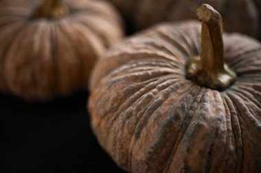 Siyah arka planda Tayland balkabağını kapat.