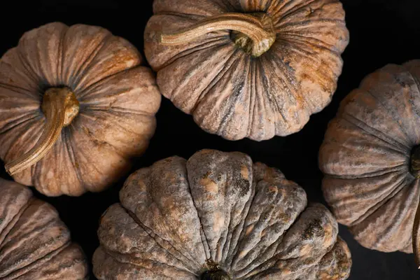 Siyah arka planda Tayland balkabağını kapat.