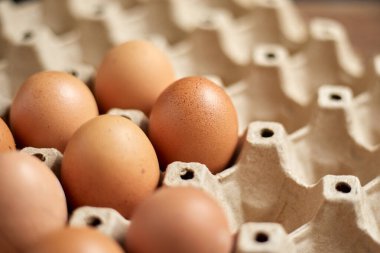 Yumurta kutusuna kahverengi yumurtaları kapat, seçici odaklanma