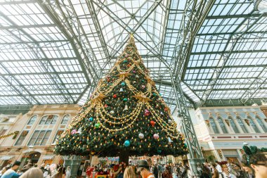 Tokyo, Japonya - 27 Kasım 2024: Tokyo Disneyland manzarası