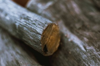 Kış için hazırlanmış odun yığınını kapatın.