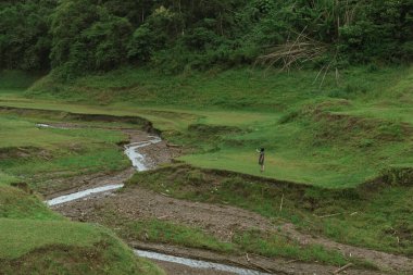 Tayland 'ın Chiang rai bölgesindeki Doi Chang dağından bir dere ya da dere.