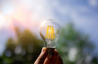 Yenilenebilir enerji için büyüyen bir ampulü tutan el. Çevreyi korumak ve sürdürülebilir kılmak için yaratıcı fikirler. Çevre enerjisi kavramı. Web afişi ya da web tasarımı için.